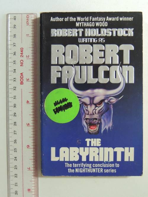 The Labyrinth - Robert Faulcon (Robert Holdstock)