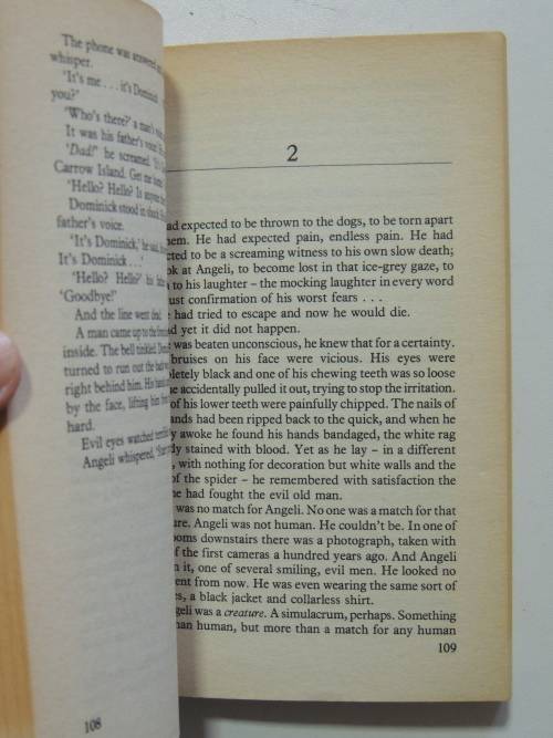 The Labyrinth - Robert Faulcon (Robert Holdstock)