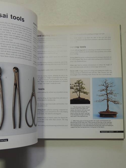 Bonsai Life Histories - The Lives of Over 50 Bonsai Trees in Photos & Words - Martin Treasure