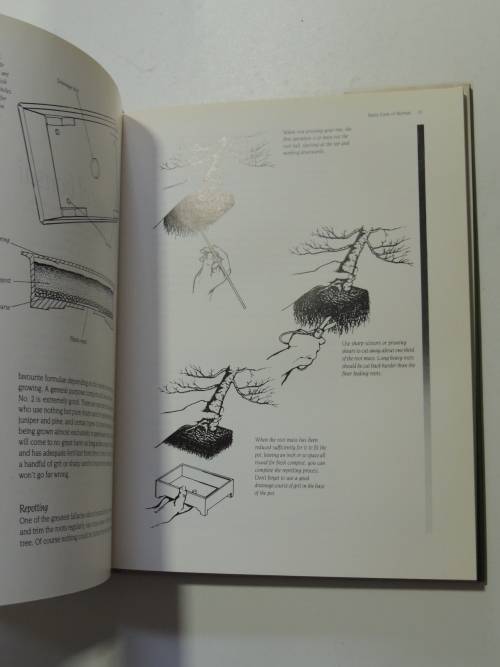 Create your Own Bosai with Everyday Garden PlantsPeter Chan