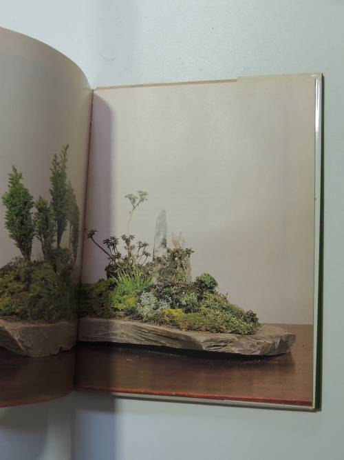Create your Own Bosai with Everyday Garden PlantsPeter Chan