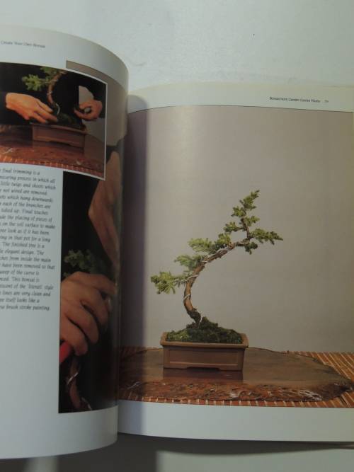 Create your Own Bosai with Everyday Garden PlantsPeter Chan