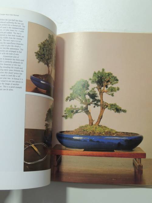 Create your Own Bosai with Everyday Garden PlantsPeter Chan