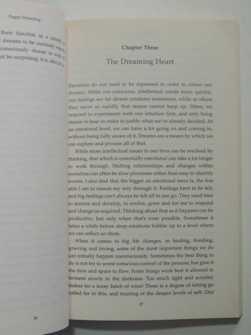 Pagan Dreaming - The Magic of Consciousness - Nimue Brown