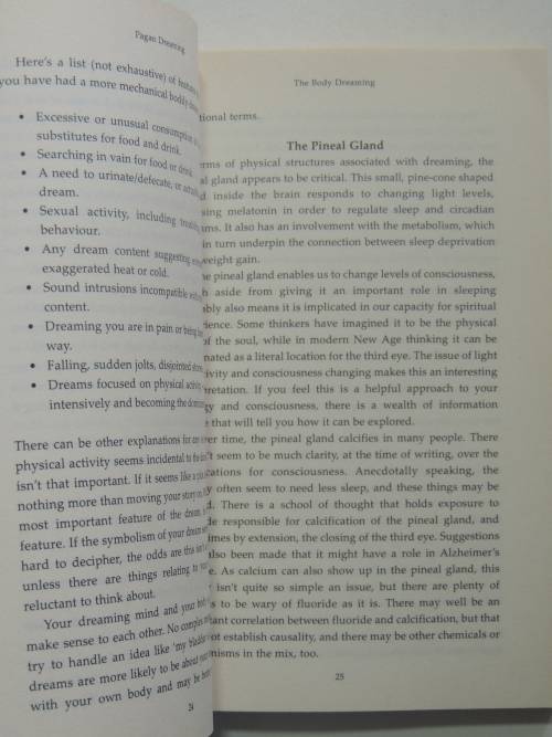 Pagan Dreaming - The Magic of Consciousness - Nimue Brown
