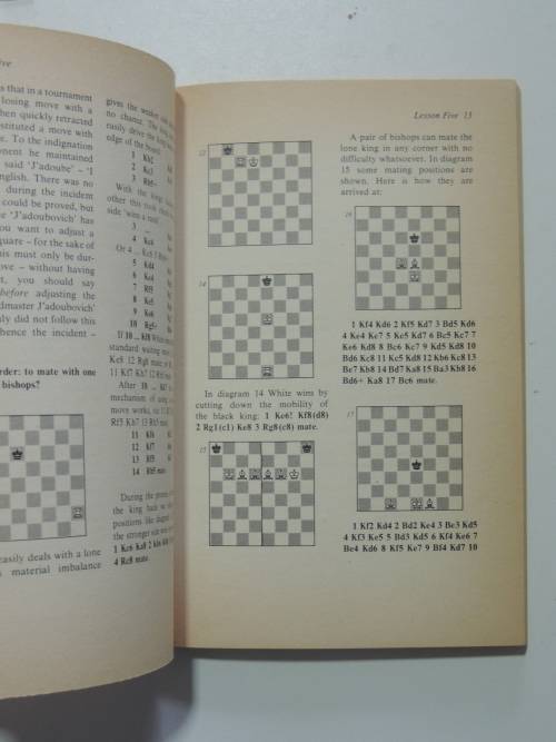 From Beginner to Expert in 40 Lessons - Chess - Aleksander Kostyev