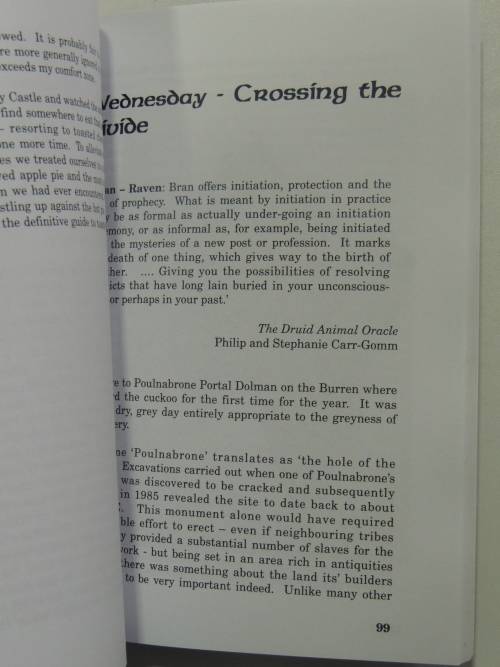 A Druid Abroad - A Quest for the Lady in Druidry - Sandra Parsons