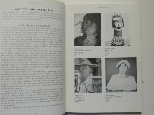 Art In Outline - An Introduction To South African Art - Merle Huntley