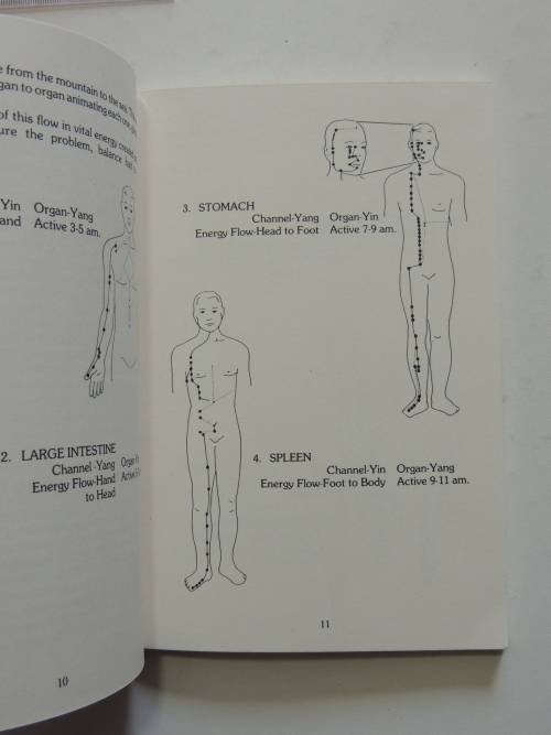 A Beginner`s Guide to Accupressure ( Shiatsu Technique)- Patrick McCarty
