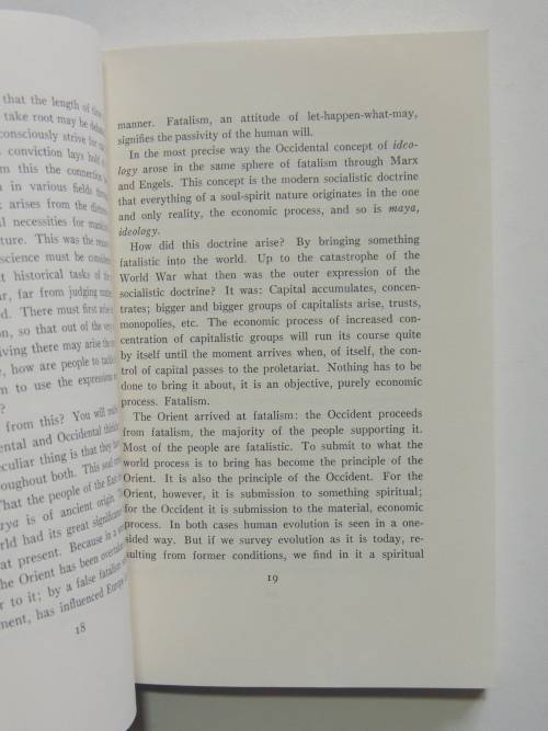 Education as a Social Problem, Lectures 1919 - Rudolf Steiner