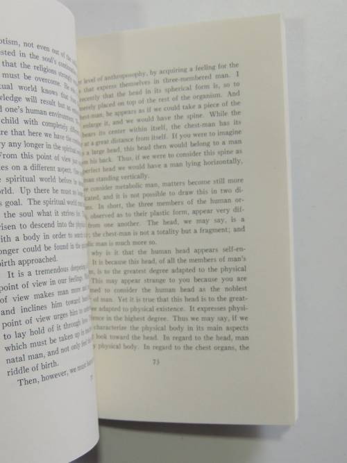 Education as a Social Problem, Lectures 1919 - Rudolf Steiner