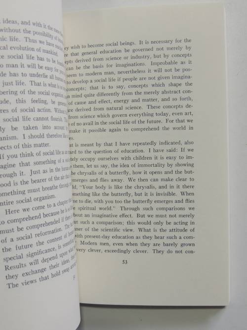 Education as a Social Problem, Lectures 1919 - Rudolf Steiner