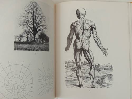 Sun  Space - Science at a Threshold of Spiritual Understanding - Olive Whicher