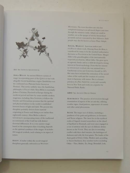 Witches - An Encyclopedia of Paganism and Magic - Michael Jordan