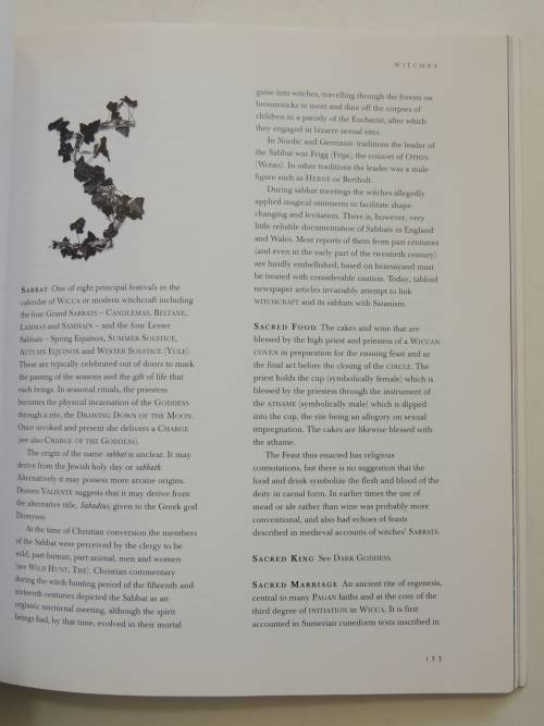 Witches - An Encyclopedia of Paganism and Magic - Michael Jordan