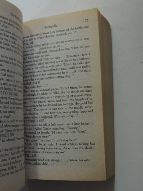 The Warrior Prophet - The Prince of Nothing Book 2 -  R Scott Bakker