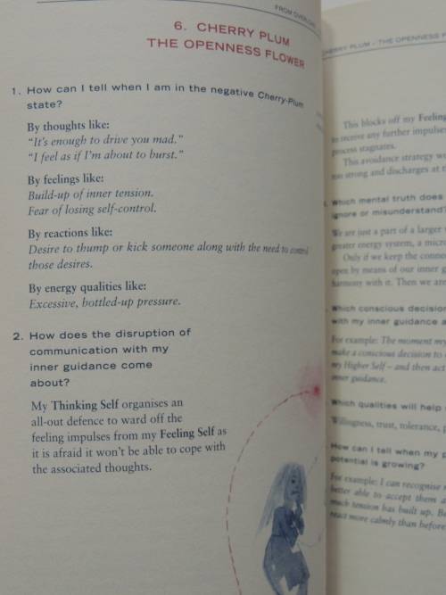 Keys To the Soul: A Workbook for Self-Diagnosis Using the Bach Flowers - Mechthild Scheffer