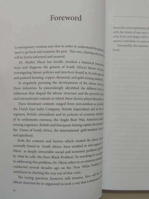 Mining Deep, the Origins of the Labour Structure in South Africa - Morley Nkosi