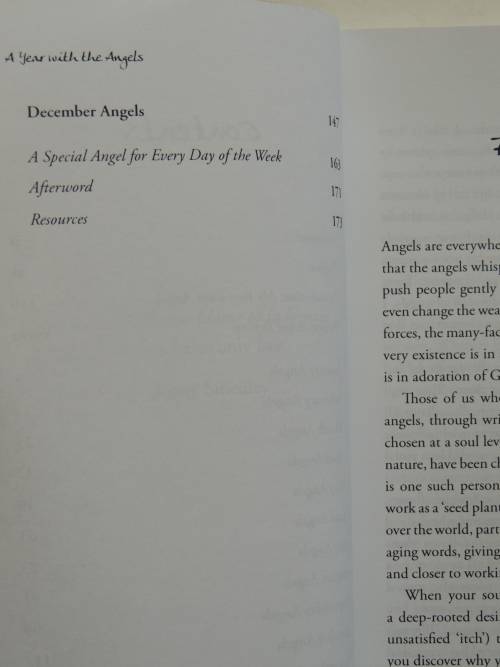 A Year With Angels - Jenny Smedley