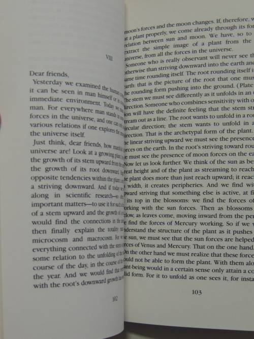 Pastoral Medicine  - Rudolf Steiner
