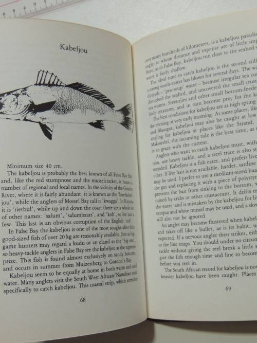 Angling In False Bay - André van den Berg