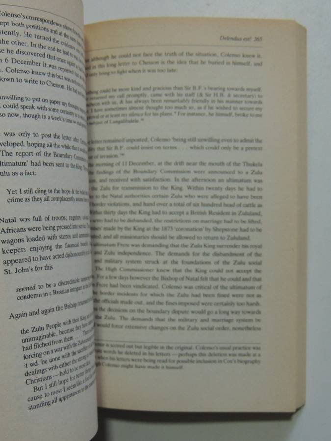 The Heretic: A Study of the Life of John William Colenso 1814-1883 - Jeff Guy