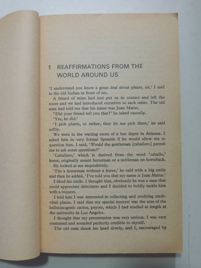 Journey To Ixtlan - The Lessons Of Don Juan - Carlos Castaneda