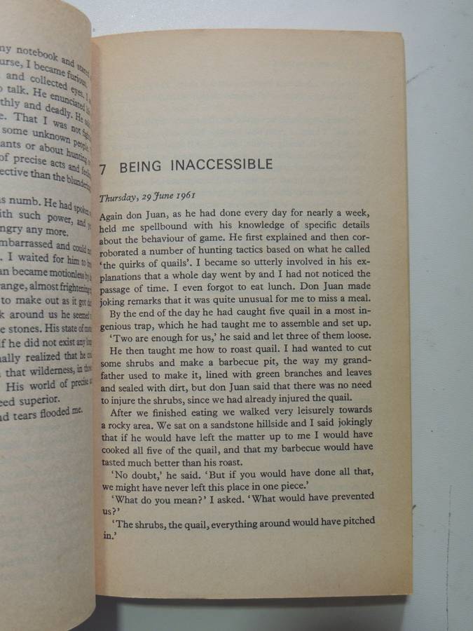 Journey To Ixtlan - The Lessons Of Don Juan - Carlos Castaneda