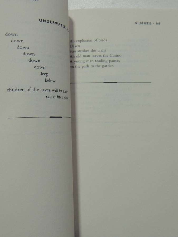 Wilderness - The Lost Writings Of Jim Morrison - Jim Morrison