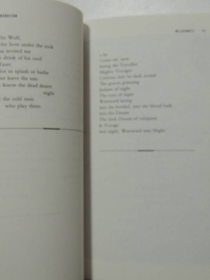 Wilderness - The Lost Writings Of Jim Morrison - Jim Morrison