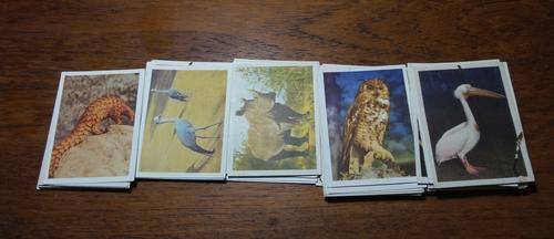 Cigar box with full set Our SA National parks and almost full set Our SA Flora Cigarette Cards