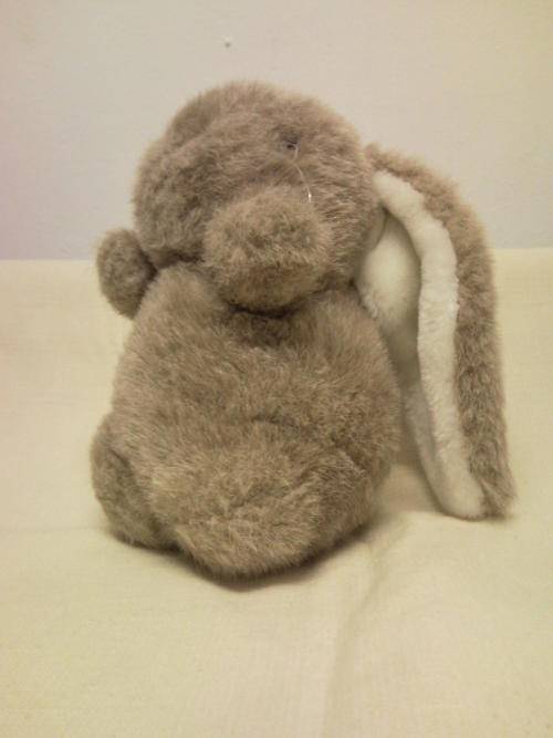 Brown Bunny With Very Long Ears (+-20cm)