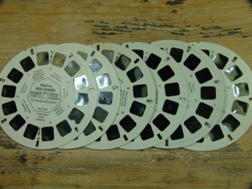A Vintage collection of 6 "The nature Kingdom"  3D picture Reels - View Master