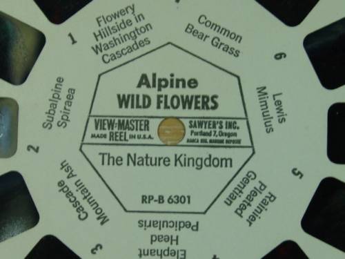 A Vintage collection of 6 "The nature Kingdom"  3D picture Reels - View Master