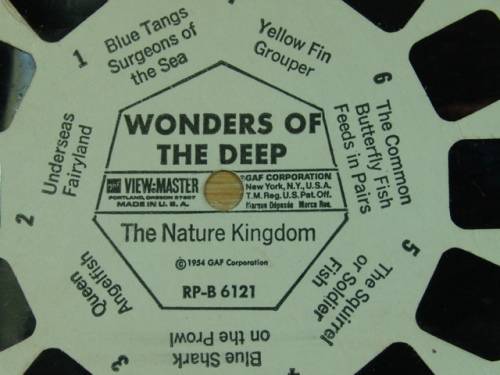A Vintage collection of 6 "The nature Kingdom"  3D picture Reels - View Master