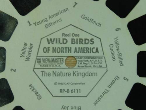 A Vintage collection of 6 "The nature Kingdom"  3D picture Reels - View Master