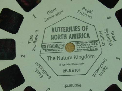 A Vintage collection of 6 "The nature Kingdom"  3D picture Reels - View Master