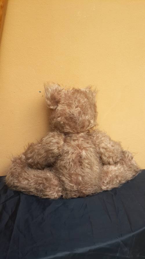 Lovely old Teddy