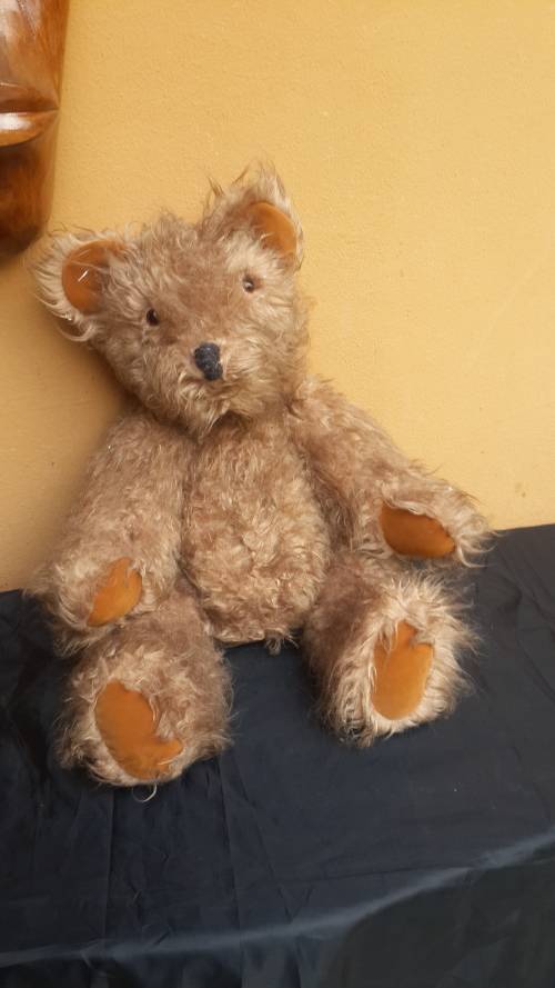 Lovely old Teddy