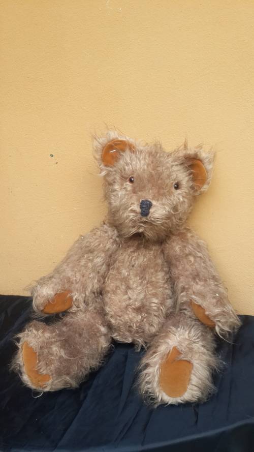 Lovely old Teddy