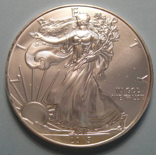 2015 American 1 OZ SILVER EAGLE in Brilliant Uncirculated Condition (Bid per coin to take 20 coins)