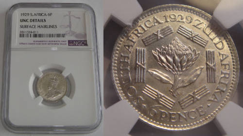 Union of South Africa: Sixpence (6d) of 1929 : NGC graded UNC details