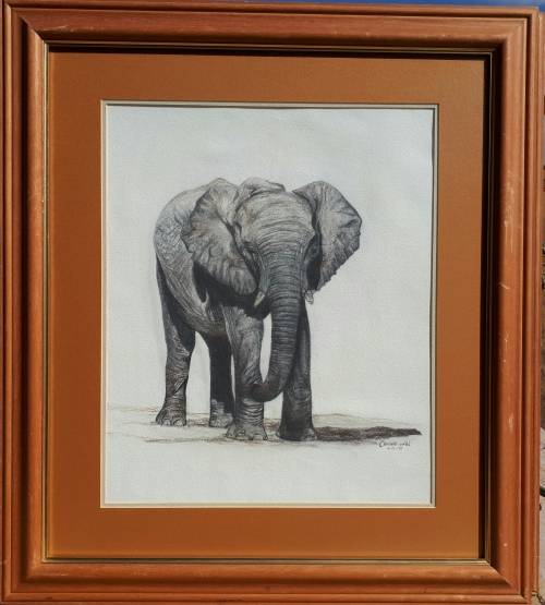 Original sketch by CHRISTELLE VAN DER WESTHUIZEN