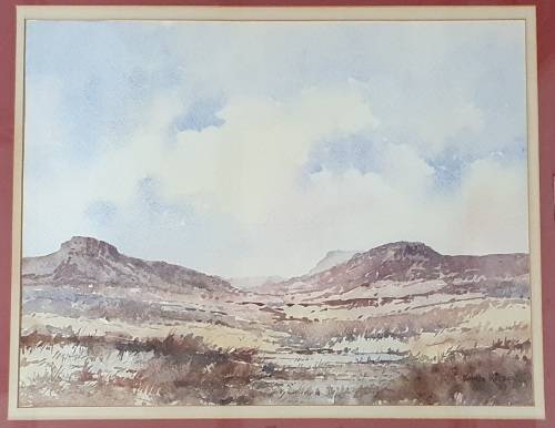 Original framed watercolour painting by KOBUS KOTZE