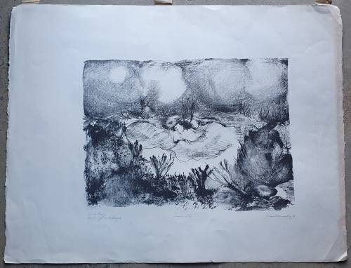 Original unframed litho artist proof `Duineveld` by Gerrit van Schouwenburg as per photos
