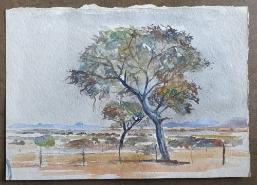 Original unframed watercolor painting by Gerrit van Schouwenburg as per photos
