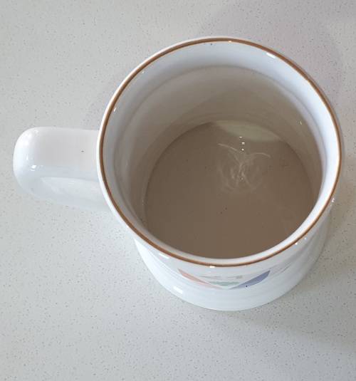 REGIMENT VRYSTAAT 1996 beer mug as per photos