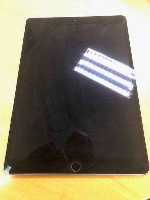 Genuine Apple iPad Pro