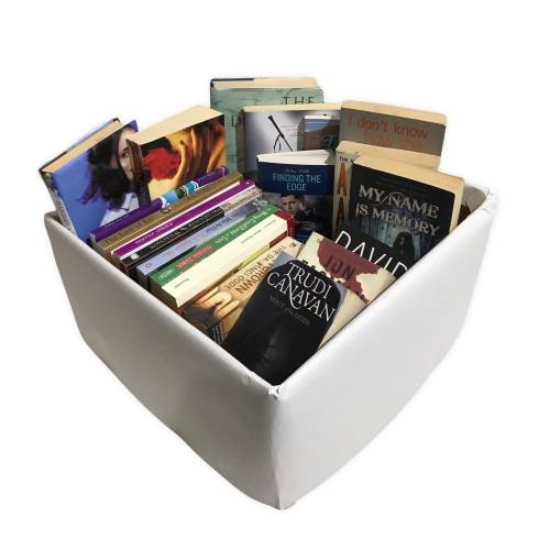 Mystery Book Box - 20 Books - English