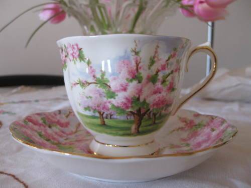 Royal Albert Blossom Time Tea Duo